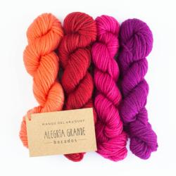 Manos del Uruguay Alegria Grande Bocados 25g Hand dyed