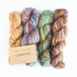 Manos del Uruguay Cabrito Hand dyed