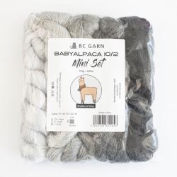 BC Garn Babyalpaca 10/2 Set 125g