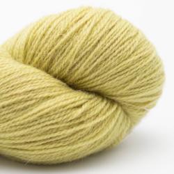 Nomadnoos Dry Desert Camel 2-ply light fingering handspun grass in the sun (light green)