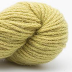 Nomadnoos Dry Desert Camel 8-ply aran handspun grass in the sun (light green)