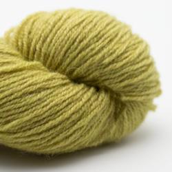 Nomadnoos Dry Desert Camel 4-ply filé à la main grass in the sun (light green)