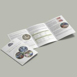 div. Buchverlage Reborn Flyer