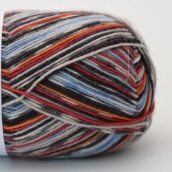 Arne & Carlos Sock & More Collection 4ply fall night color Arne & Carlos Sock & More Collection 4ply fall night color