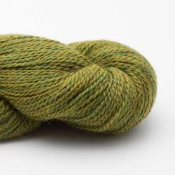 BC Garn BabyApaca 10/2 RAS Apple Green heather RAS