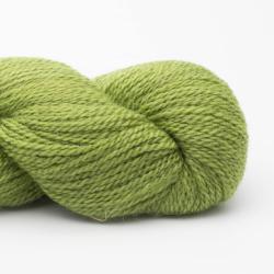 BC Garn Babyalpaca 10/2 50g light green