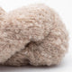 Alpaca Bouclé