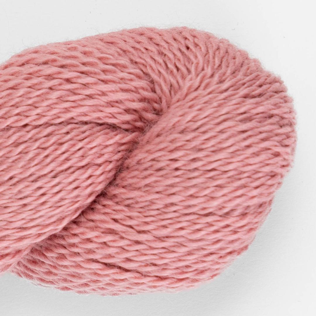 Puna Light Babyalpaka RAS