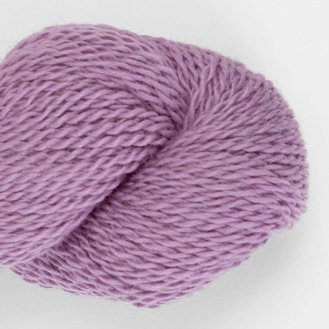 Puna Light Babyalpaka RAS