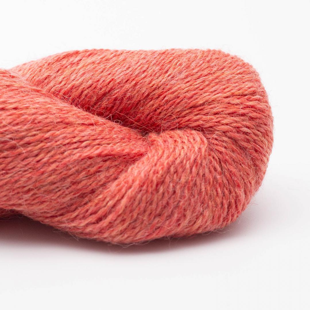 Baby alpaca 10/2 per 50g RAS