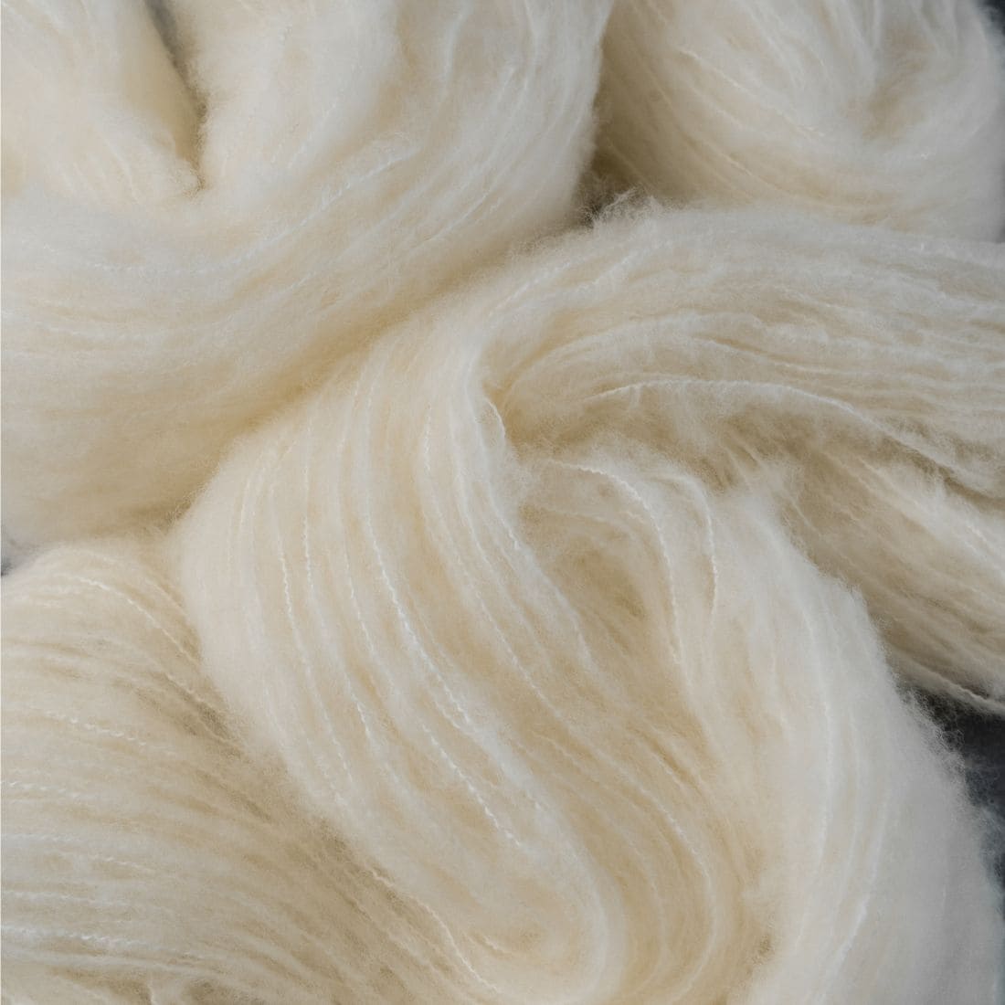 Fils Knomad